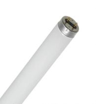 Lâmpada Fluorescente Tubular Luz Branca 40W Osram